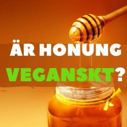 Bild på honung och texten Är honung veganskt