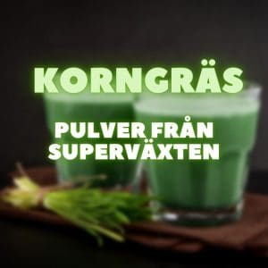 Text: Korngräs pulver från superväxten. Bild på gröna drycker och en knippe korngräs i bakgrunden.