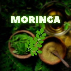 Moringa, bild på löv, skål med pulver i bakgrund