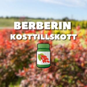 Bild med texten "Berberin kosttillskott" och en illustration av en burk med berberin.