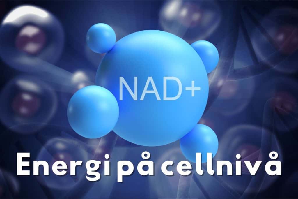 Illustration av NAD+ molekyl med texten "Energi på cellnivå" i en blåtonad bakgrund.